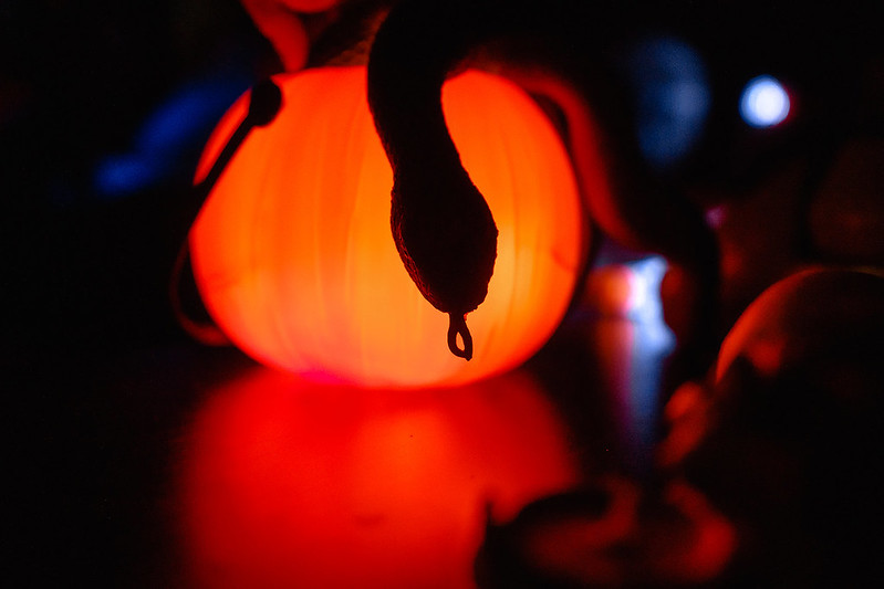 Украшение дома паутиной и летучими мышами к Хэллоуину в Астане